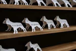 amanda & michael // wedding